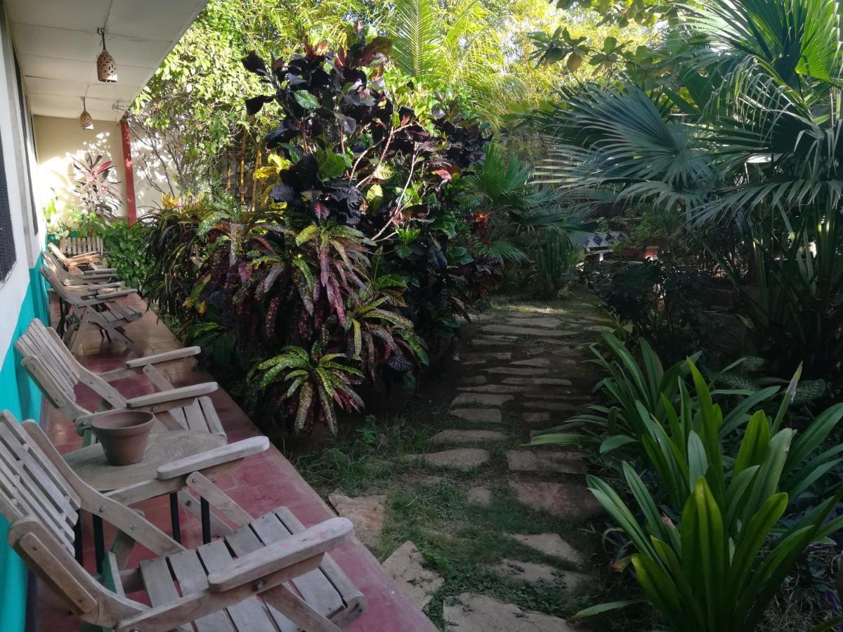 Harvest House Nicaragua Hotel León Exterior foto